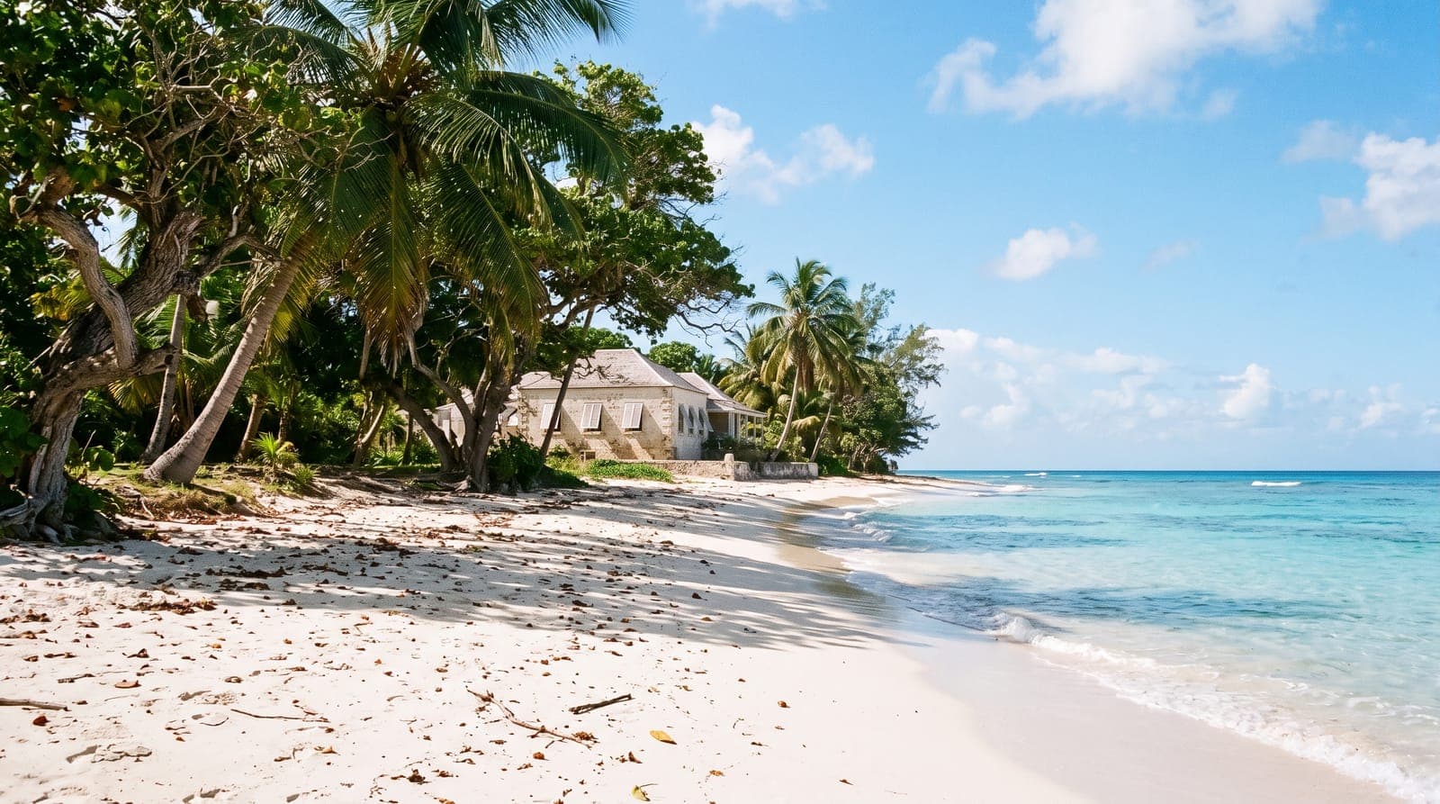 Heller Sandstrand auf Barbados mit Palmen, einem kolonialen Haus aus Korallenstein und türkisfarbenem Meer