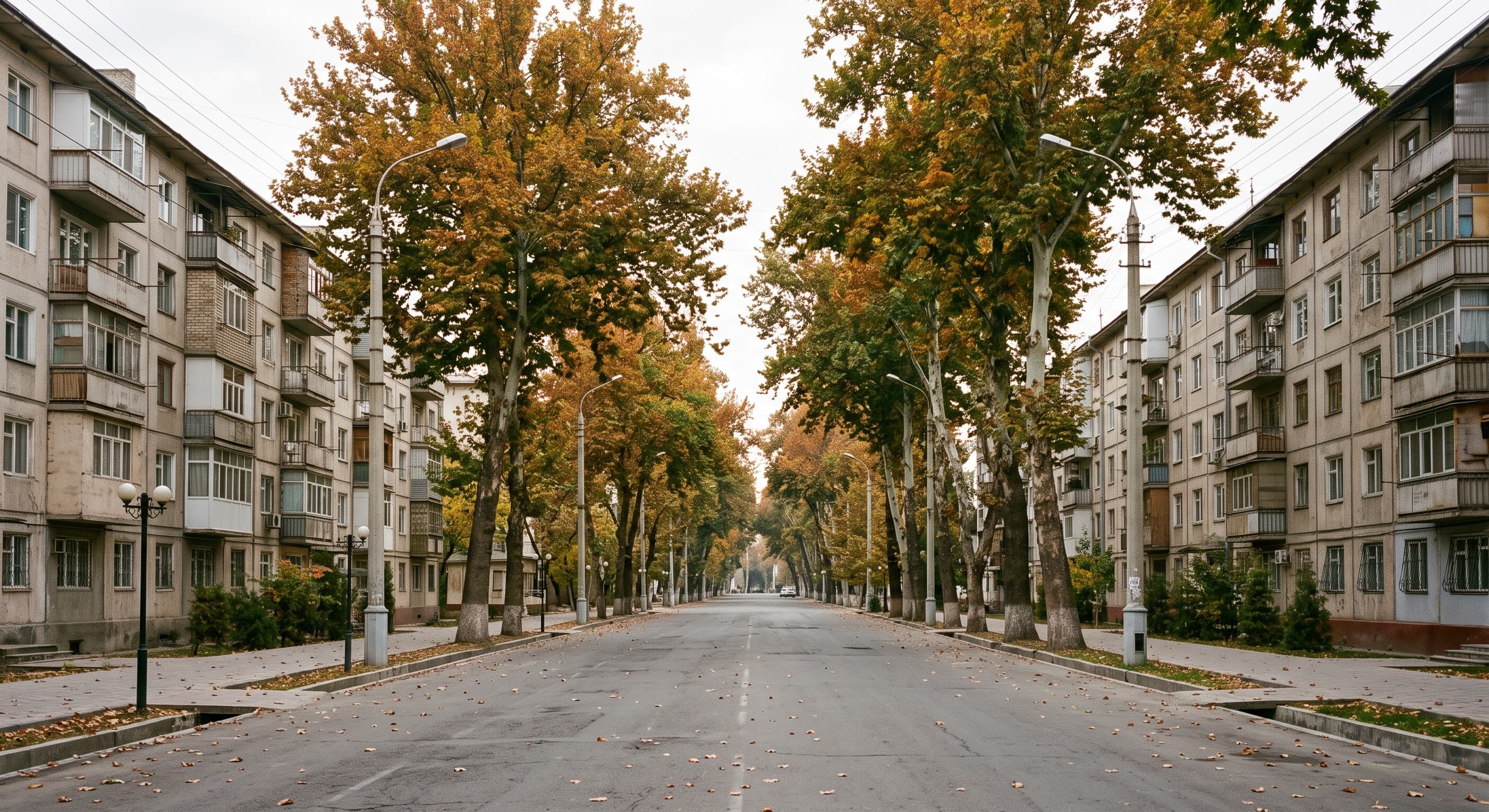 Rue résidentielle calme de Tachkent bordée d'arbres, immeubles bas aux façades claires, sans personnes ni véhicules ni monument identifiable