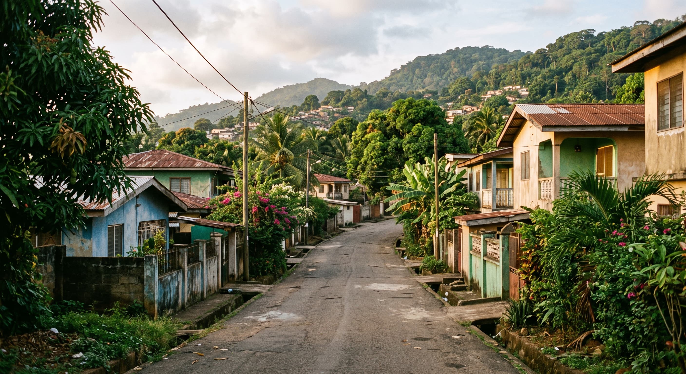 Via residenziale tranquilla di un quartiere di Freetown, case basse in pendenza sulle colline circondate da vegetazione tropicale, senza persone riconoscibili